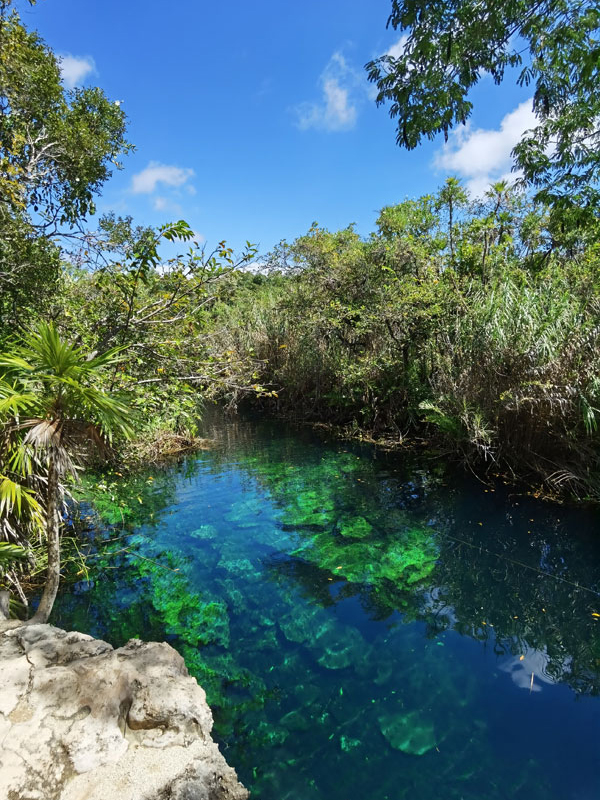 Une Cenote à Tulum