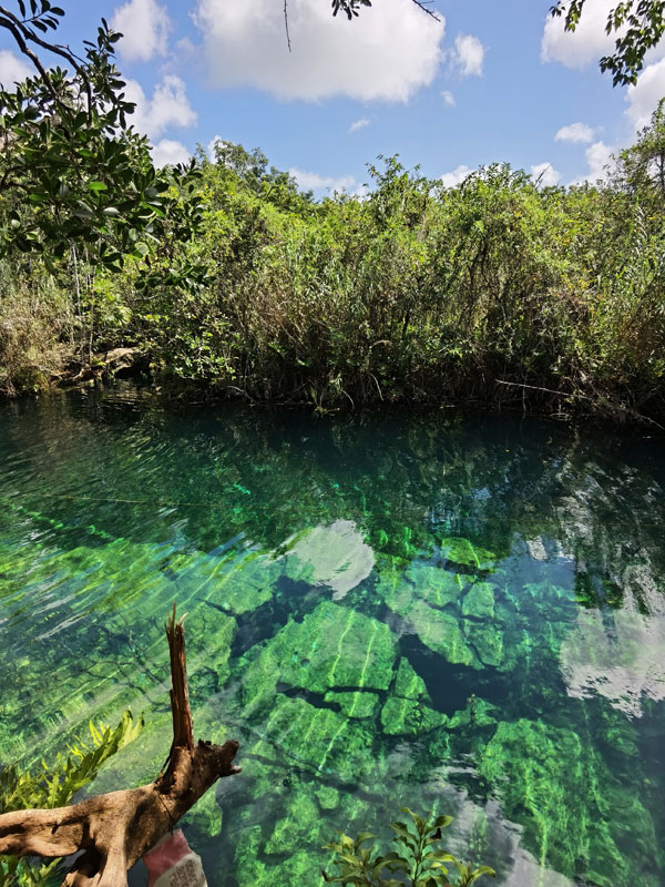 Cenote escondido Tulum