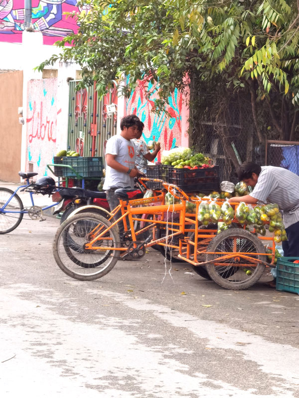 vendeurs de fruit à Tulum