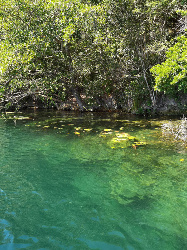 cenote negro sur la lagune de bacalar