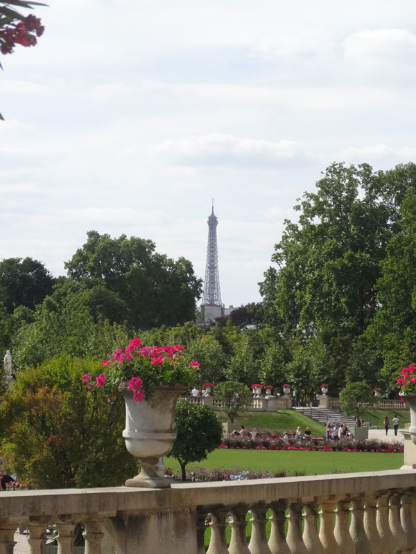 vue de la Tour Eiffel depuis le jardin des tuileries