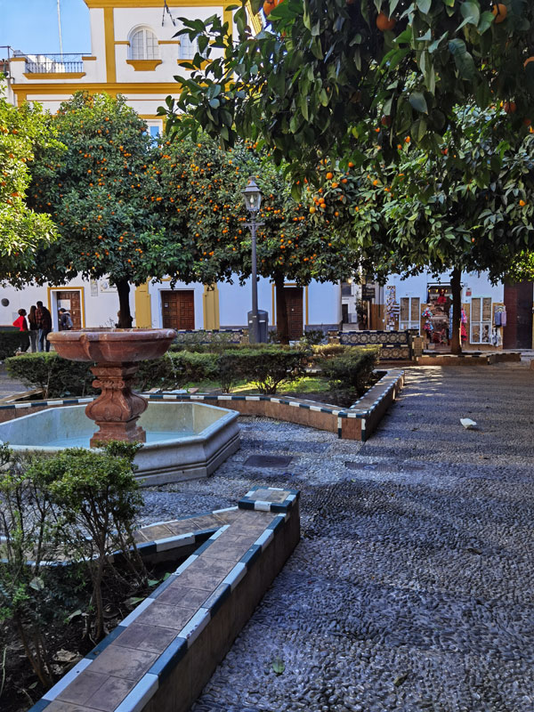 une des plus belles places de seville, plaza dona elvira