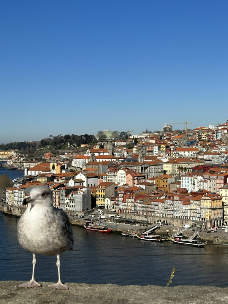Vue sur Porto