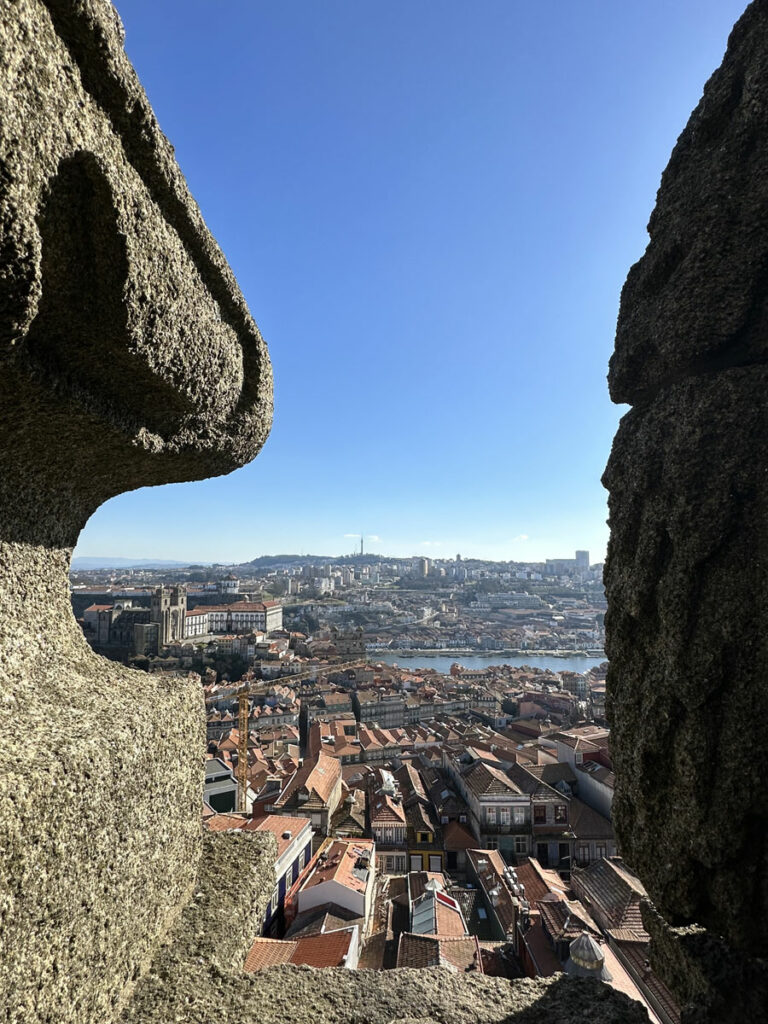Vue sur Porto depuis la Torre dos Clérigos